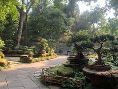 -成都武侯祠博物馆