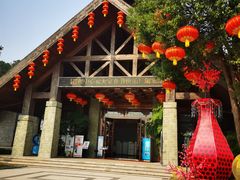 -铁山坪森林公园