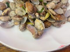 葱姜花蛤-必点海鲜·鲅鱼水饺(鞍山西道店)