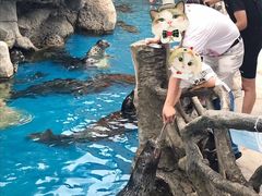 -华夏文旅海洋公园