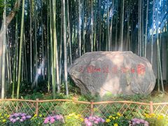 -上海醉白池公园
