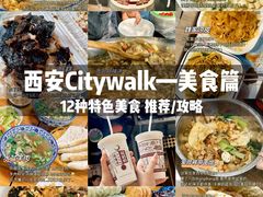 -子午路张记肉夹馍(翠华路店)