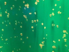 -福州罗源湾海洋世界旅游区