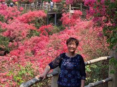 -木兰云雾山