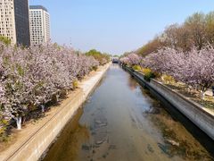 -元大都城垣遗址公园