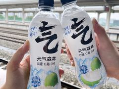 -南京奥林匹克体育中心-体育馆