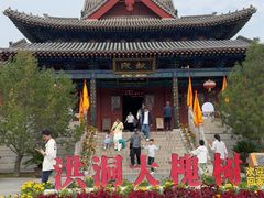 -大槐树寻根祭祖园