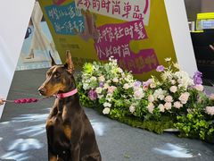-中贸广场