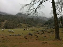 -硗碛藏寨·神木垒景区