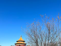-普乐寺