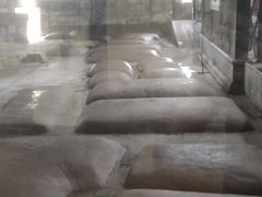-泸州老窖景区