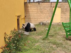 -杭州野生动物世界