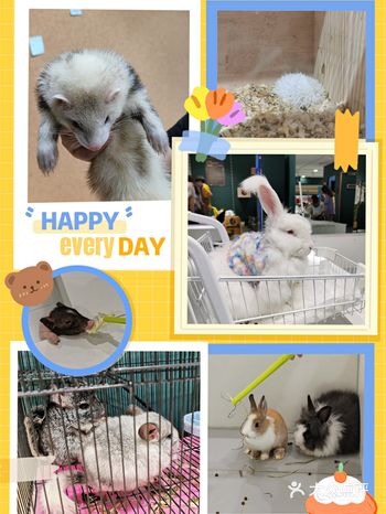 武汉探店丨来这里 秒变“幼儿”饲养员 超可爱~