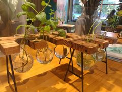 -ZING COFFEE 镜咖啡