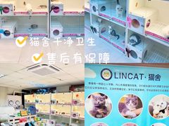 -lincat·猫舍(广州店)