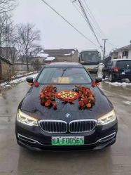 -蚂蚁婚车