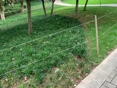 -重庆市江北嘴中央商务区中央公园