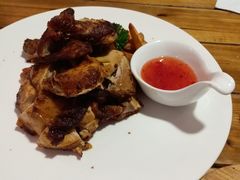 -百好乐宠物友好餐厅(朝外大街店)