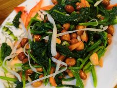 果仁菠菜-西北朗益和穆斯林餐厅