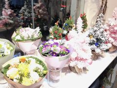 -花未央花店·WEYOUNG
