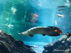 -华夏文旅海洋公园