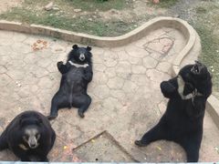 -无锡动物园·太湖欢乐园
