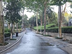 -西安市长乐公园