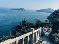 -棒棰岛宾馆景区
