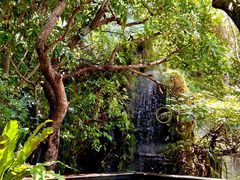 -Chom Cafe and Restaurant