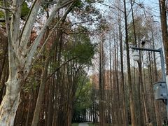 -东湖落雁景区