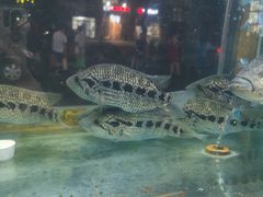 -淳安二十八道·新派民间菜·淳鱼馆(阳光路店)