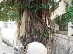 -乌山风景区