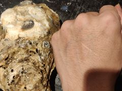 -烧蠔帮·生蚝海鲜牌档(观海店)