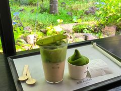 -雪绿茶博物馆