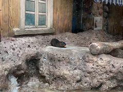 -杭州长乔极地海洋公园