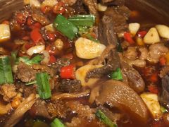 -井水小厨·湘菜(活力广场店)