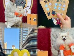 -佛山京华广场MALL