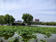 -济南大明湖景区