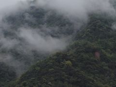 -龙窝子