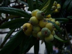 -锦江之星(苏州火车站虎丘店)