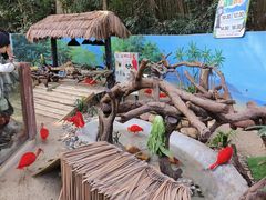 -广交会威斯汀酒店