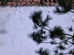 -北京艺术博物馆(万寿寺)