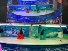 -成都浩海立方海洋公园