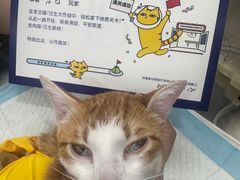 -拜鲁耶动物诊疗中心·宠家动物医院