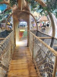 -卡通尼·Safari非洲探索乐园·生日会(金桥国际商业广场店)