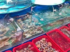 -望海潮海鲜店 特色家常菜(在海一方店)