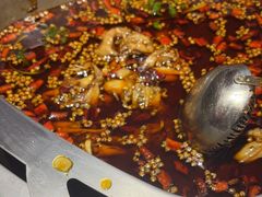 -味之绝·美蛙鱼头火锅(科巷店)