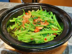 桑巴酱虾米啫空心菜-港丽餐厅