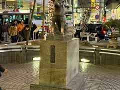 -涩谷全向十字路口