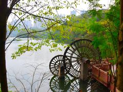 -重庆彩云湖湿地公园